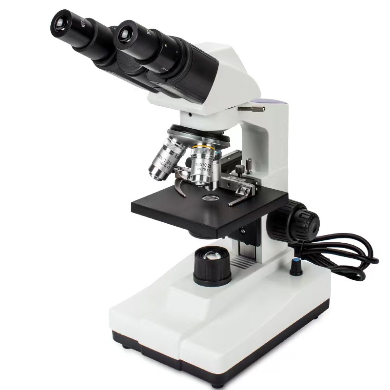 Real Picture WF10x Eyepieces 4 – Medical Lab Pictures Bewertung und Preis