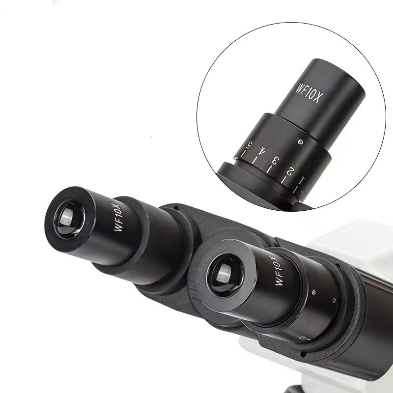 Real Picture WF10x Eyepieces 4 – Medical Lab Pictures Bewertung und Preis
