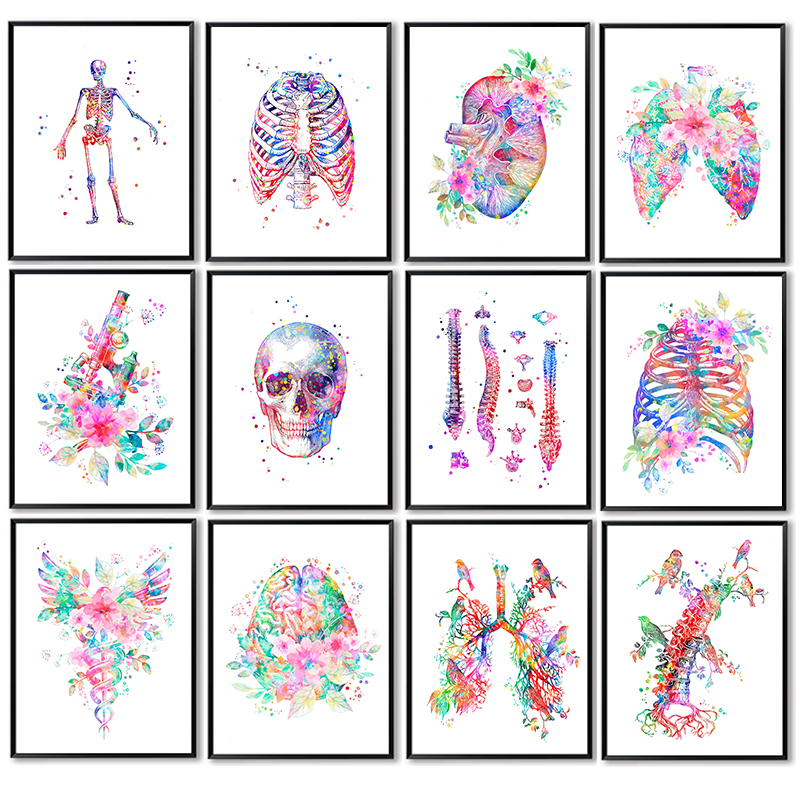 Anatomy Medical Poster Flower  – Medical Lab Pictures Bewertung und Preis