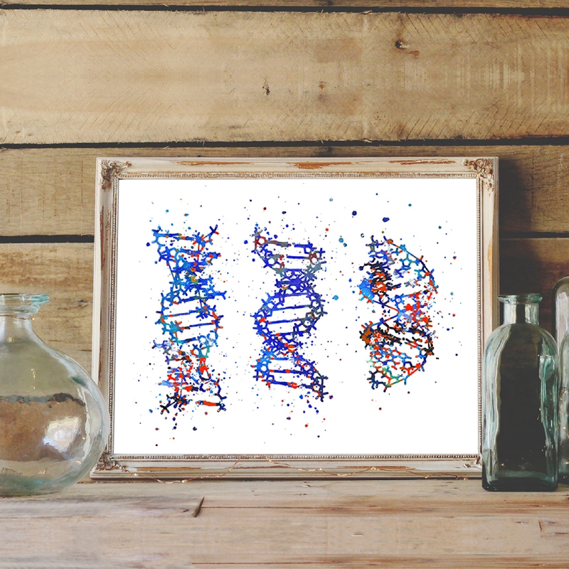 DNA Molecule Print Modern Medi – Medical Lab Pictures Bewertung und Preis