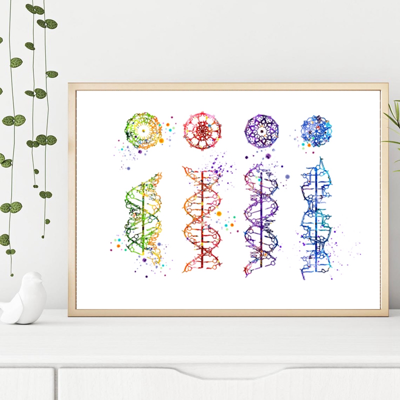 DNA Molecule Print Modern Medi – Medical Lab Pictures Bewertung und Preis