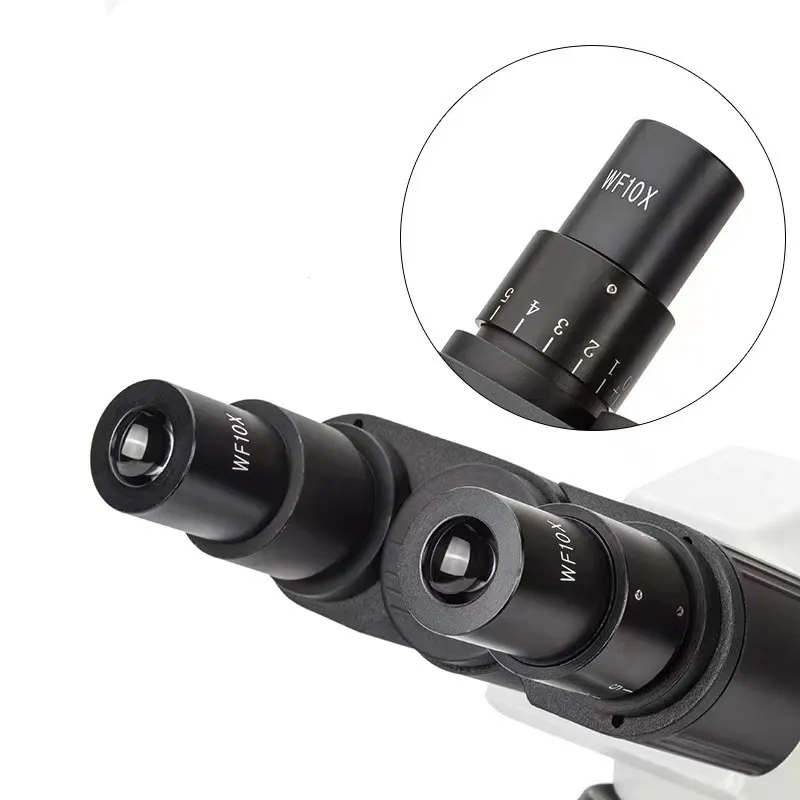 Real Picture WF10x Eyepieces 4 – Medical Lab Pictures Bewertung und Preis